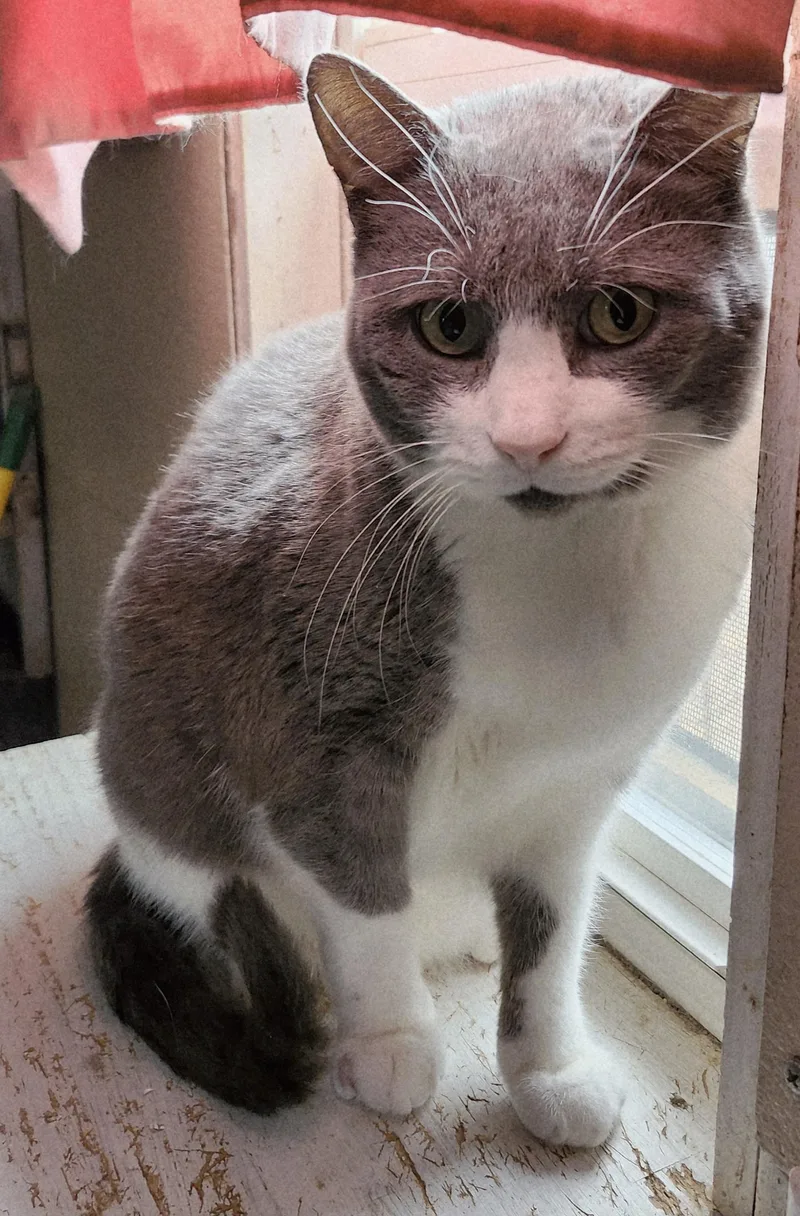 'charlie'