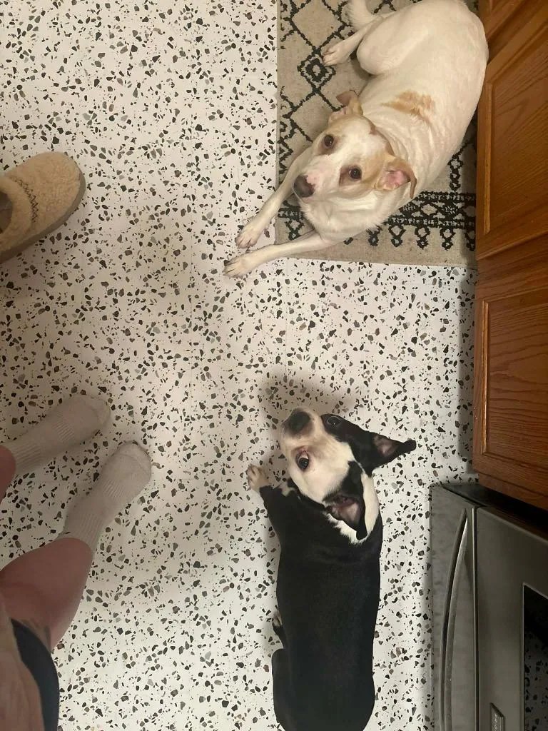 Frankie & Nori thumbnail 2