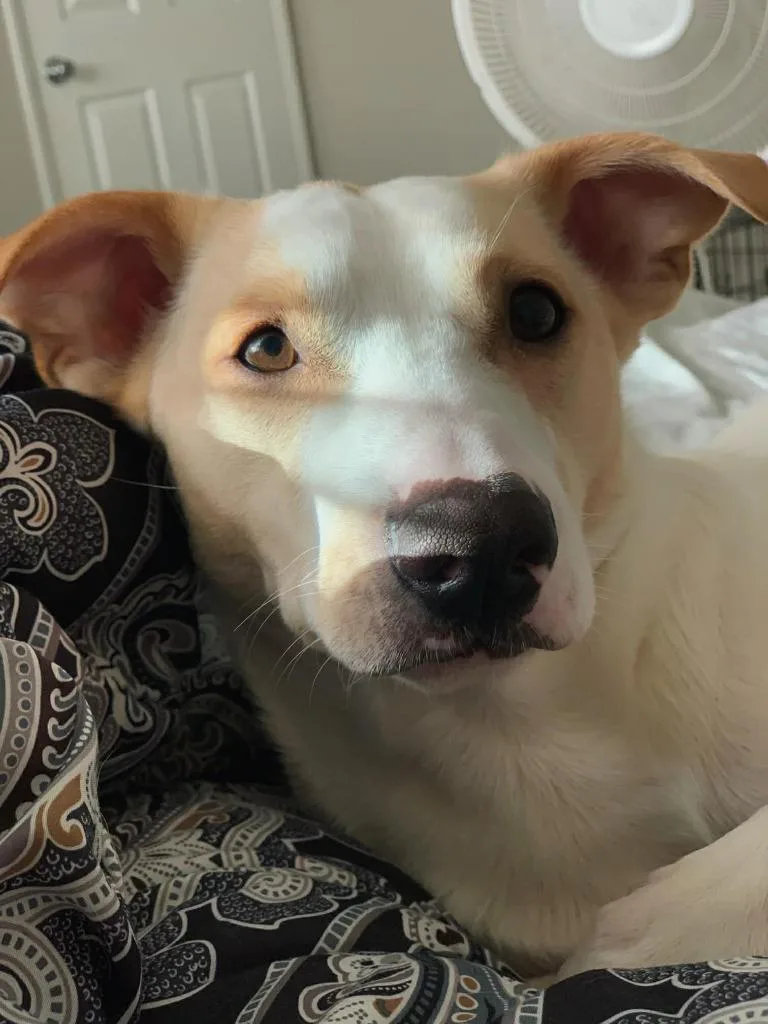 Frankie & Nori thumbnail 4