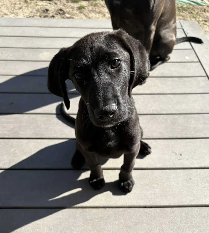 Ruby June