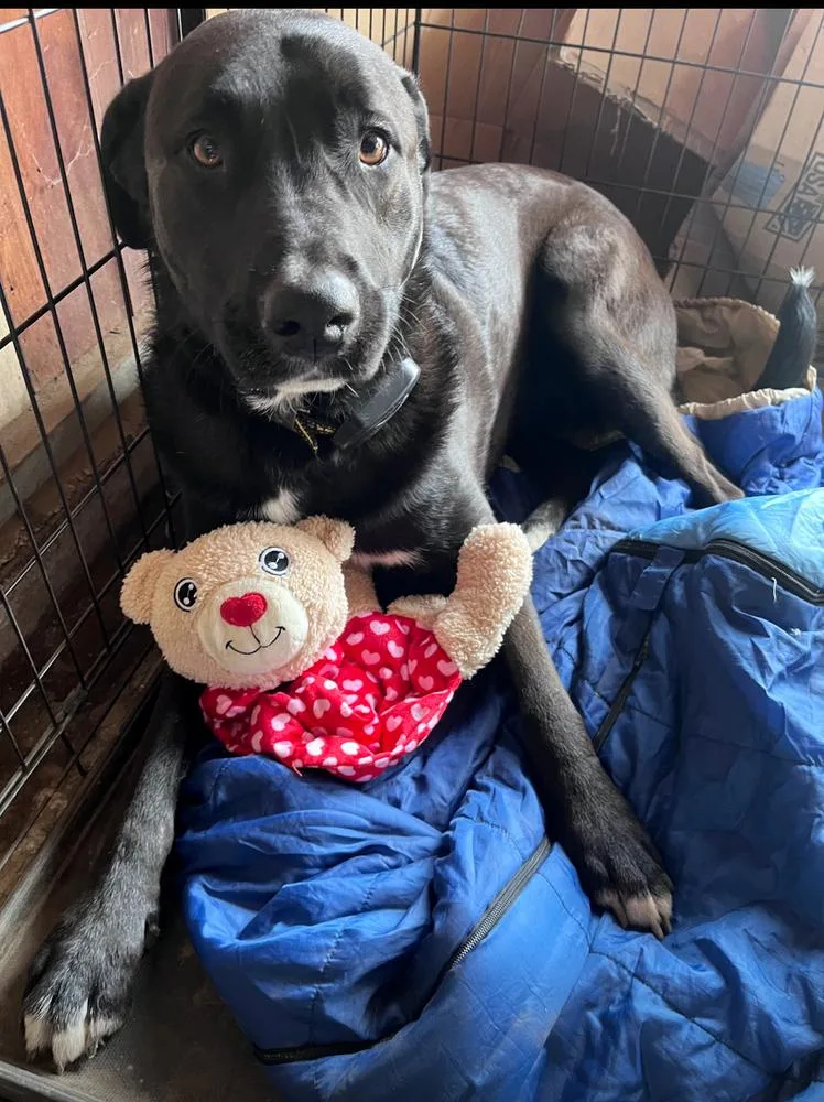 Stella Mccartney thumbnail 3