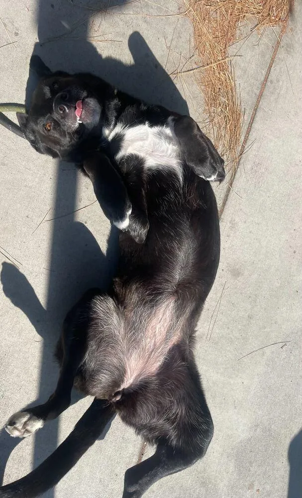 Stella Mccartney thumbnail 4