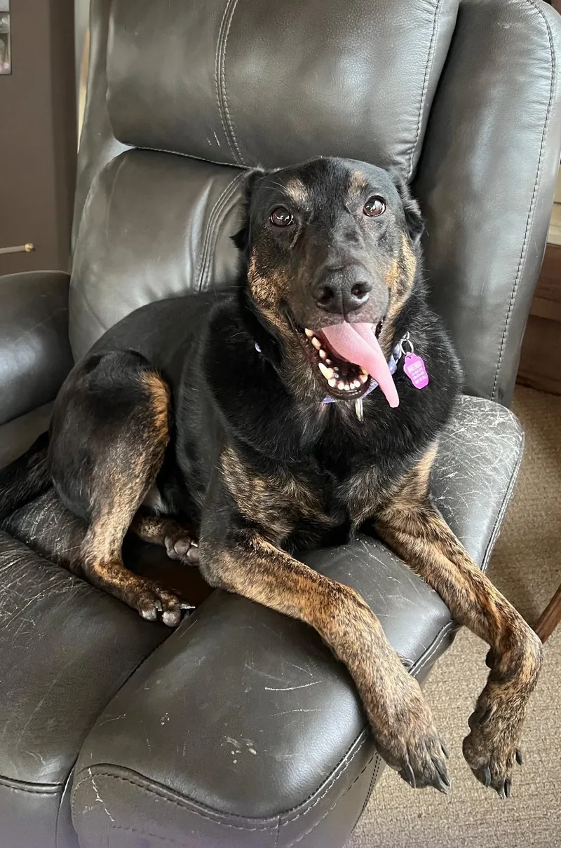 Precious thumbnail 3