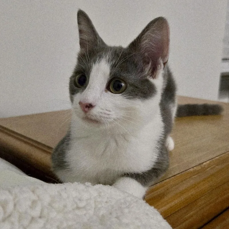 Sprout thumbnail 2