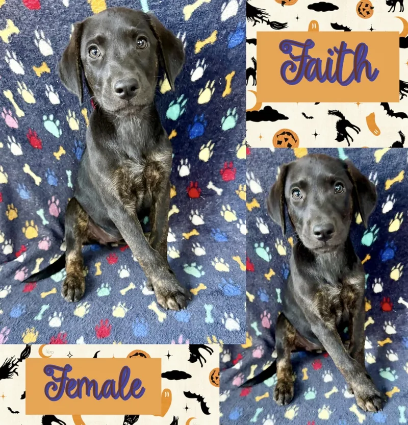 Faith thumbnail 2