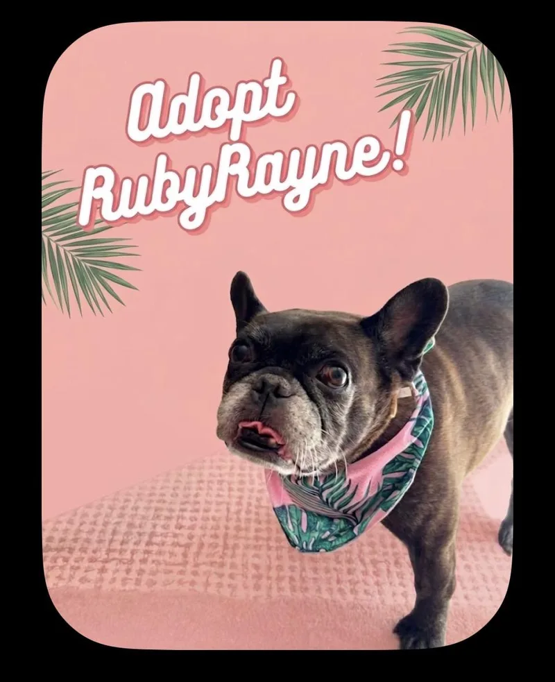 Ruby Rayne