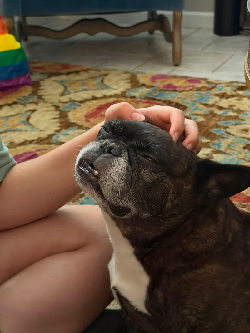 Ruby Rayne thumbnail 5