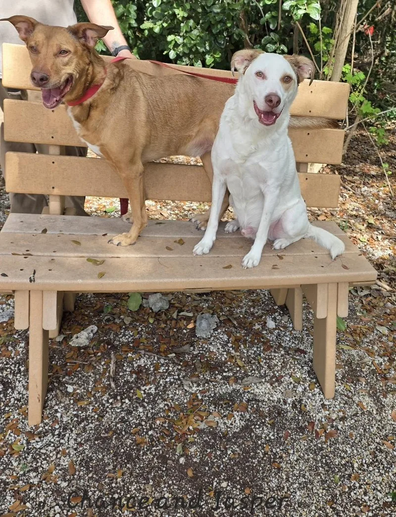 Chance & Jasper thumbnail 2