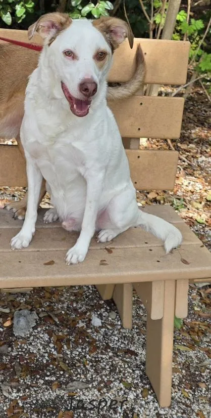 Chance & Jasper thumbnail 5