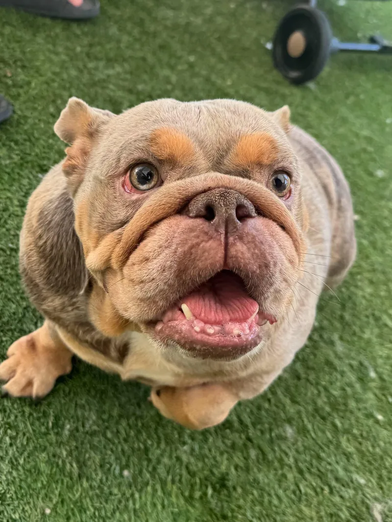 Matilda