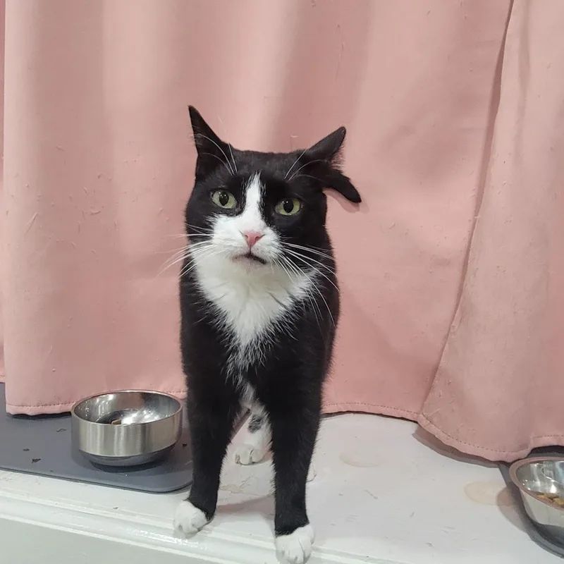 Imperial thumbnail 5