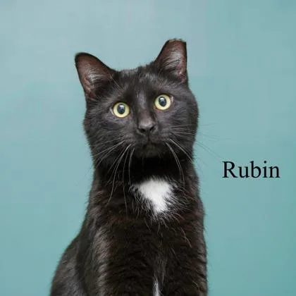 Rubin