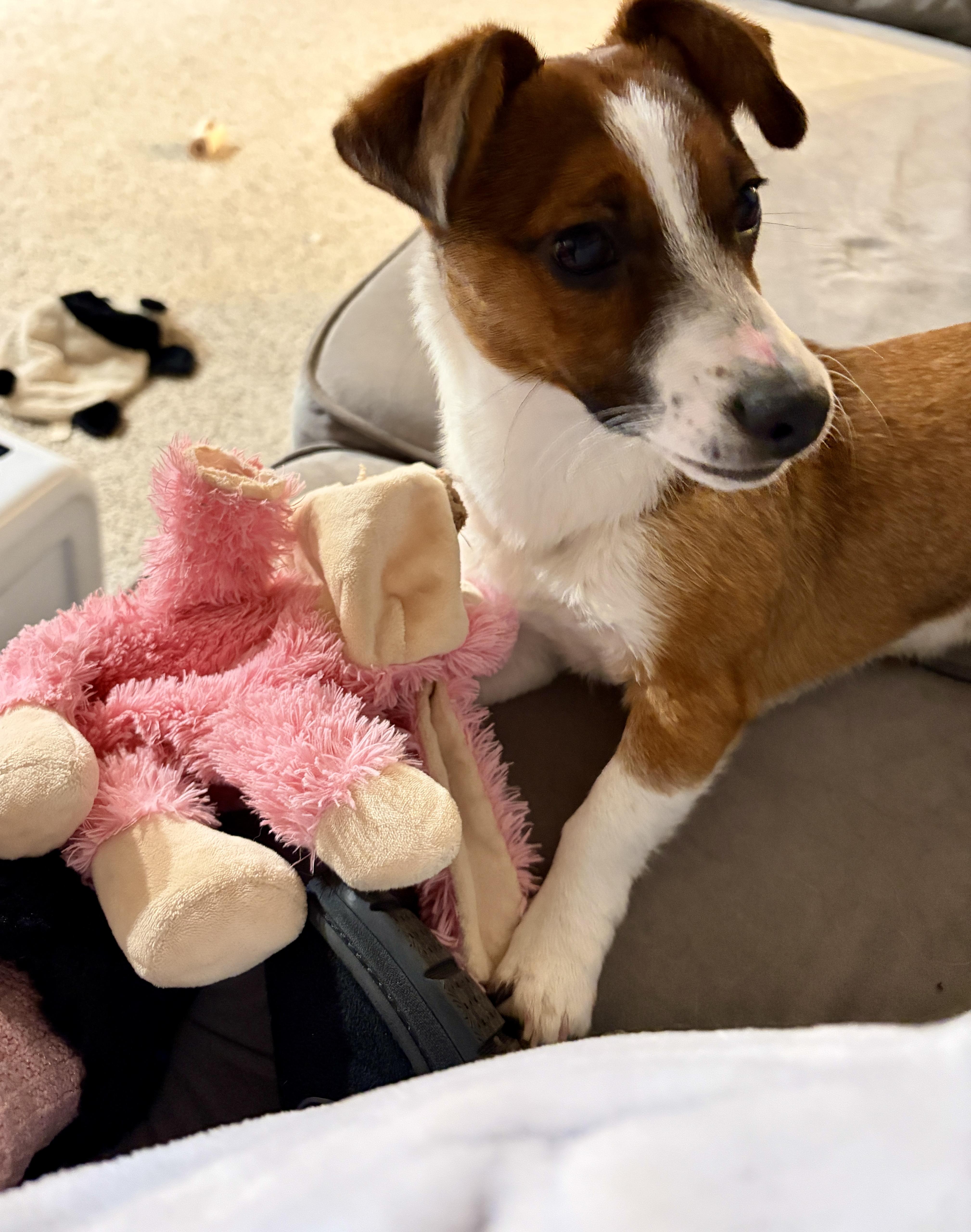 Lucy thumbnail 2