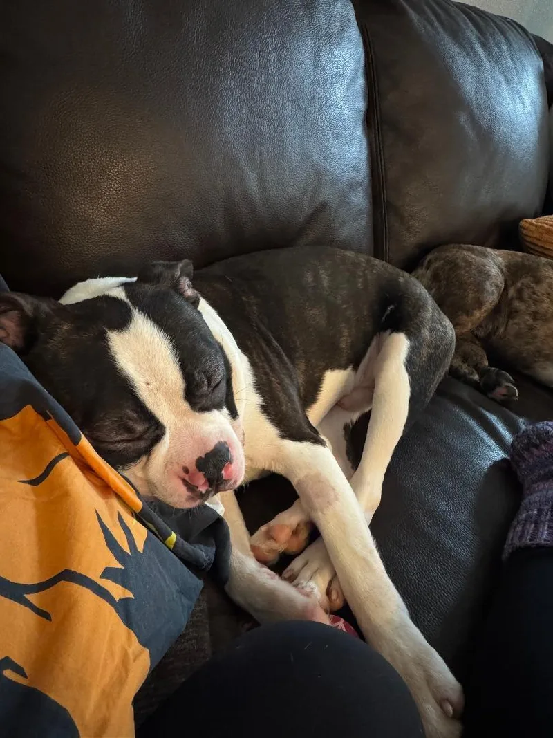 Nelson In Ia thumbnail 4