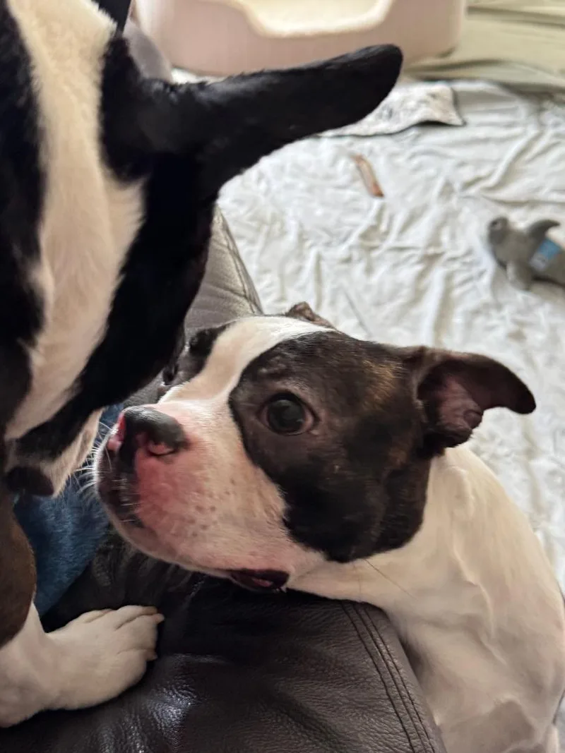 Nelson In Ia thumbnail 5