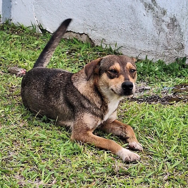 Queen Jane thumbnail 3