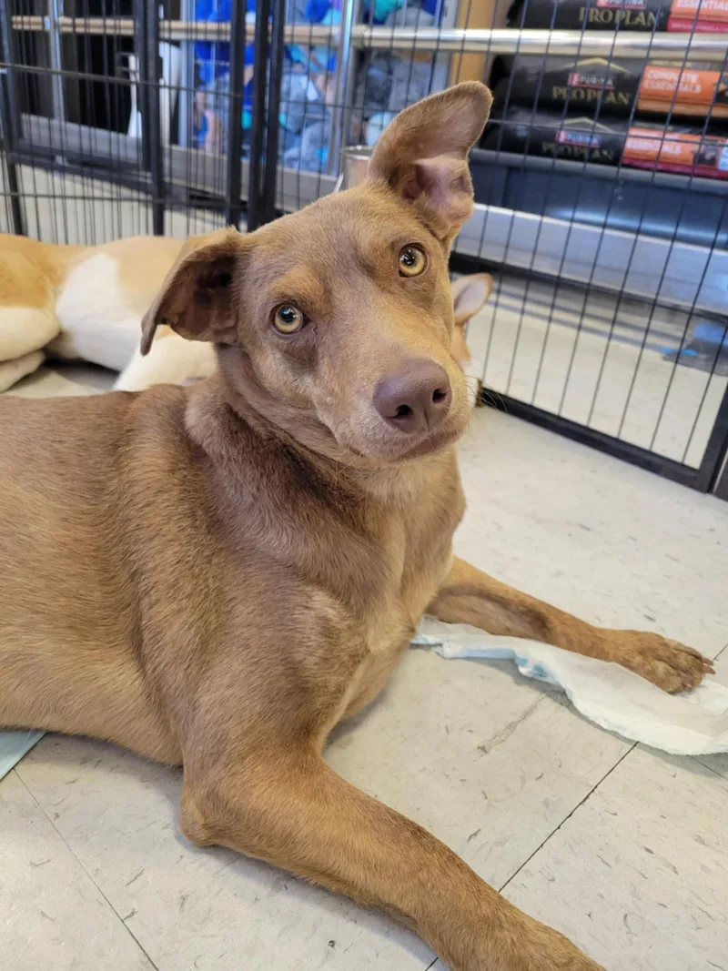 Montgomery thumbnail 4