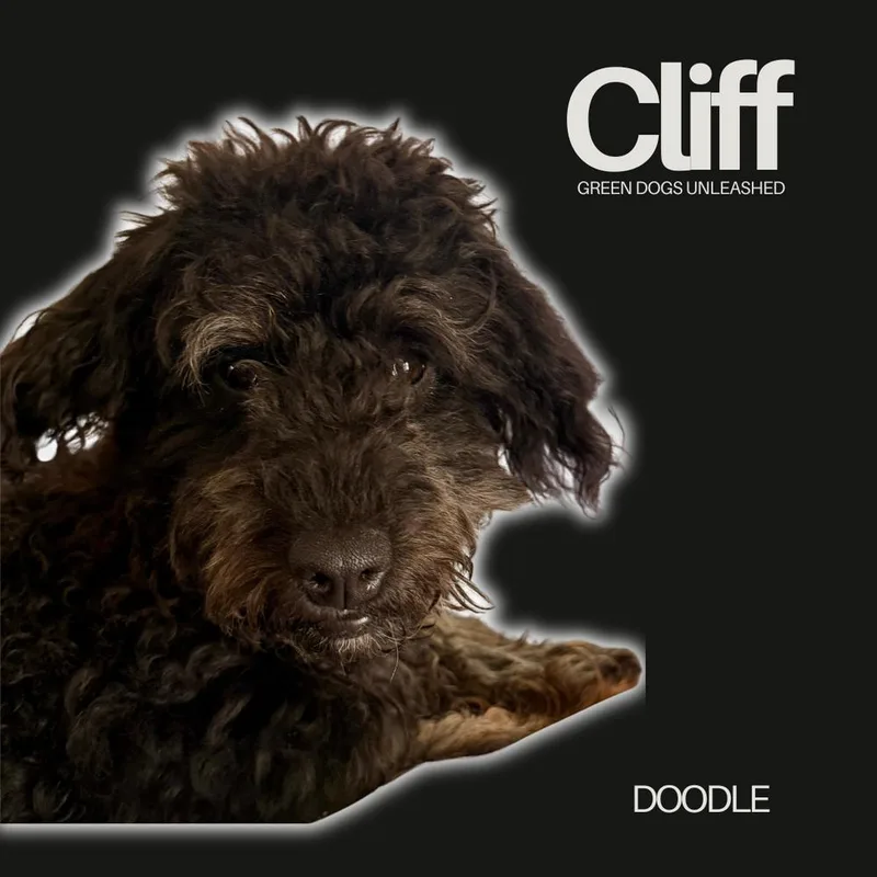 Cliff thumbnail 3