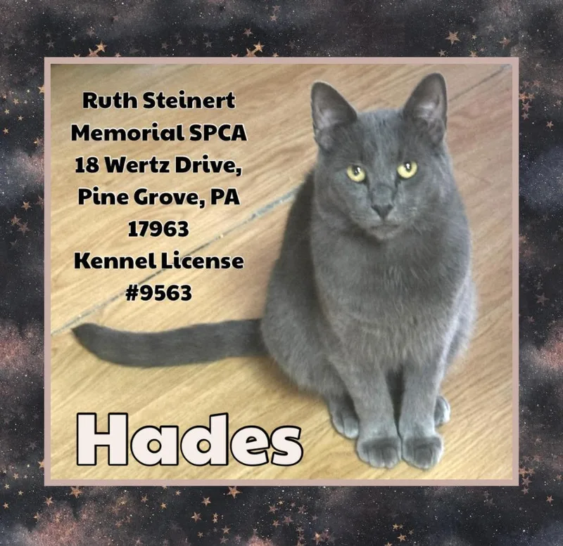 Hades