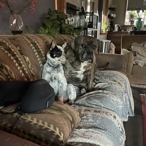 Maggie