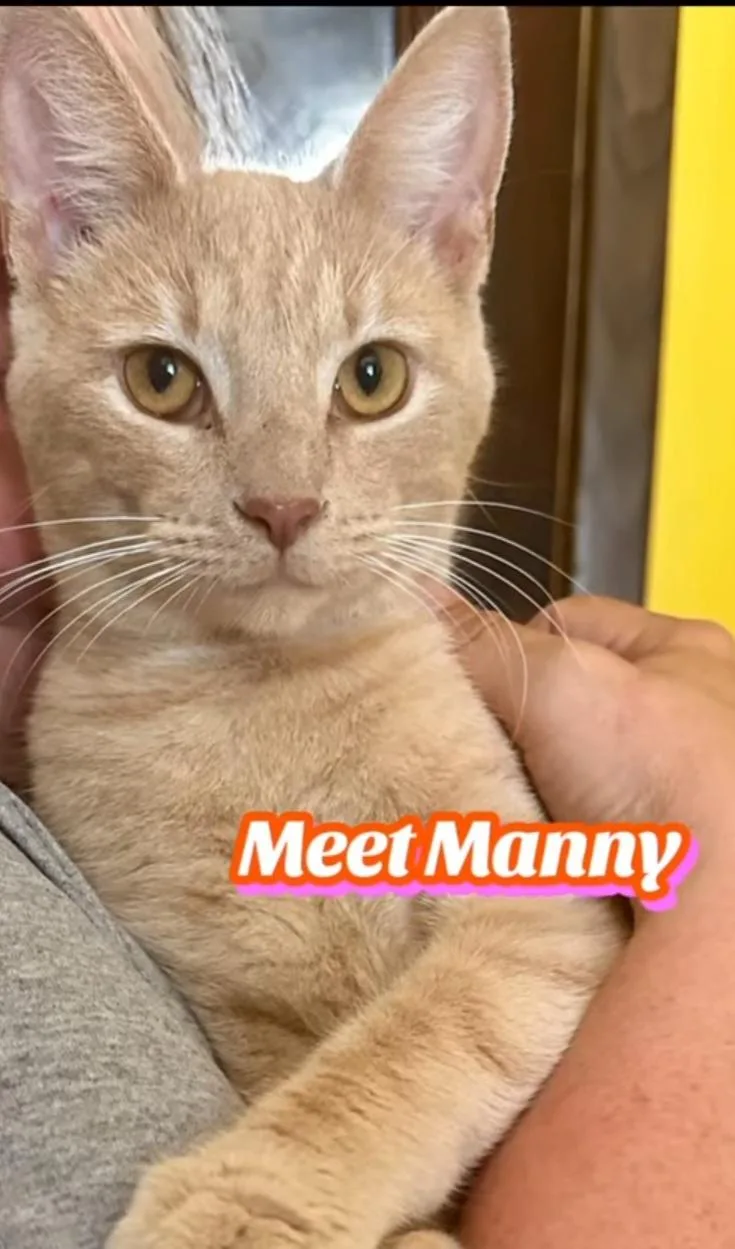 Manny