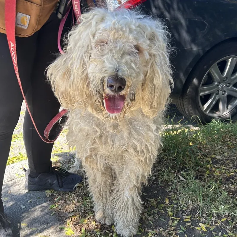 Pinky Pie thumbnail 2