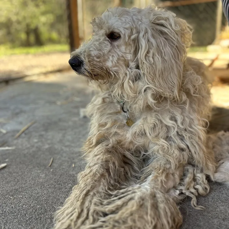 Pinky Pie thumbnail 3