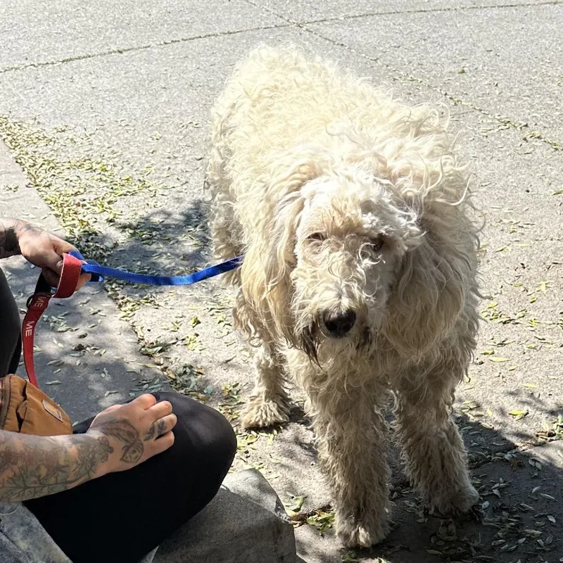 Pinky Pie thumbnail 4