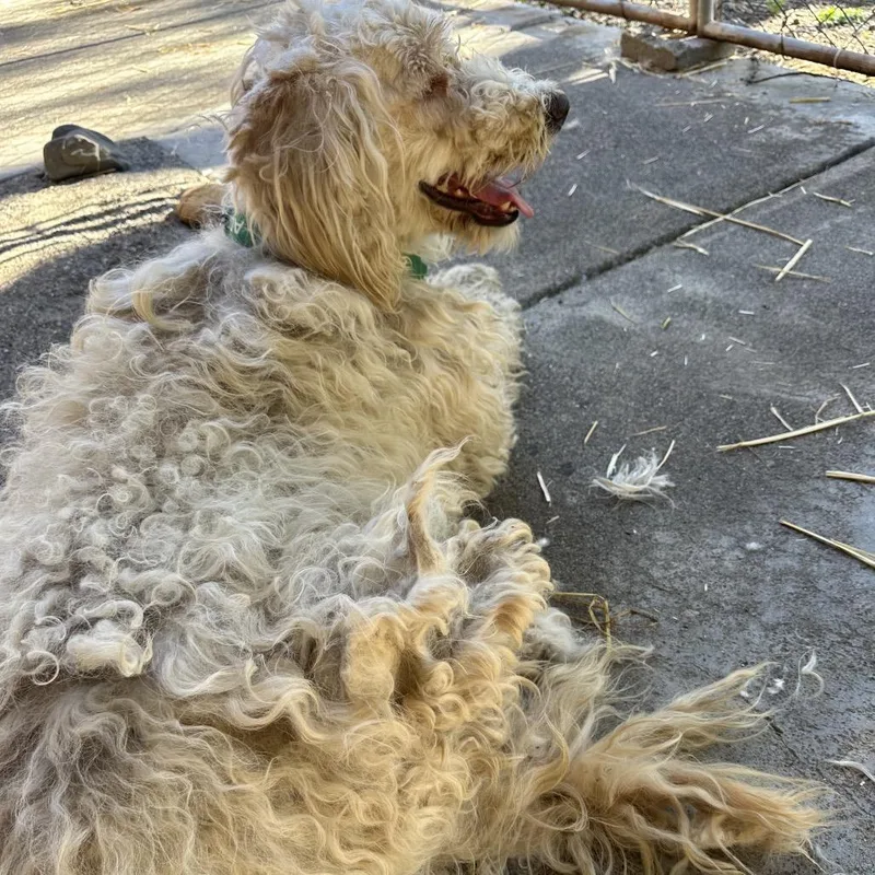 Pinky Pie thumbnail 5