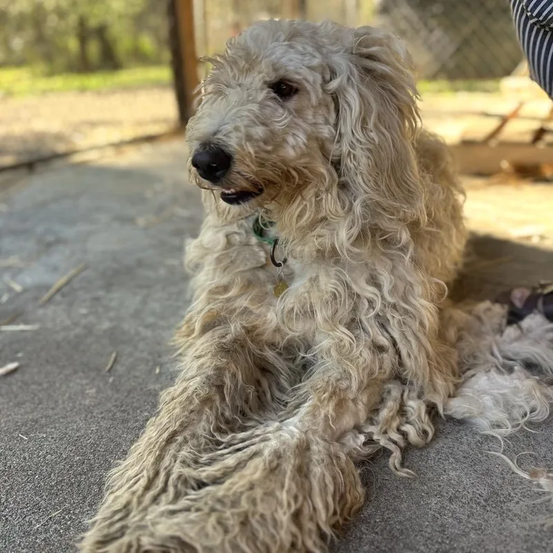 Pinky Pie thumbnail 6