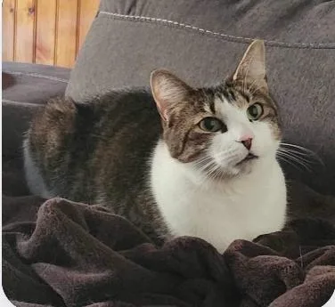 Richard Female thumbnail 2