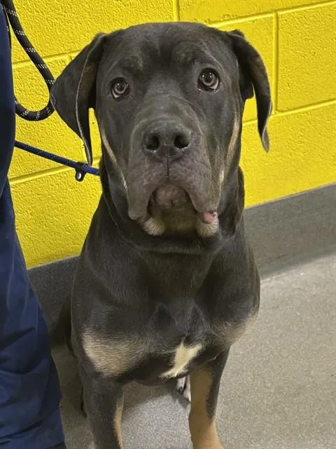 Winnie
