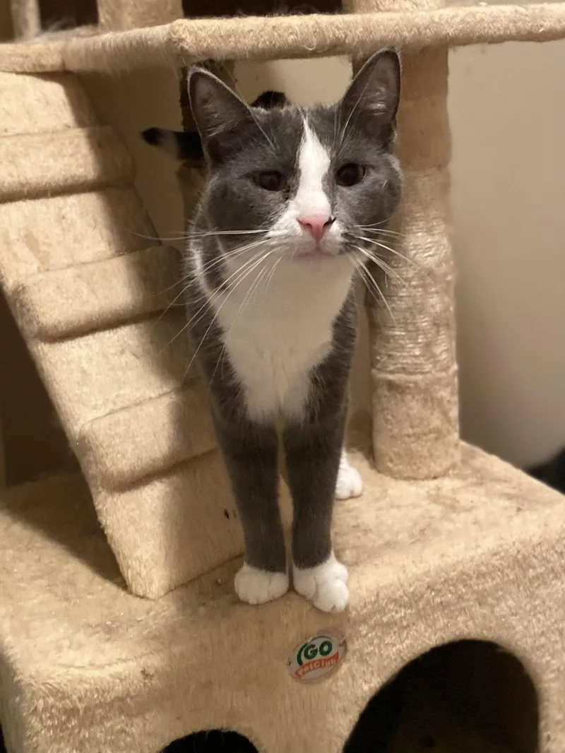 Miss Clio thumbnail 3