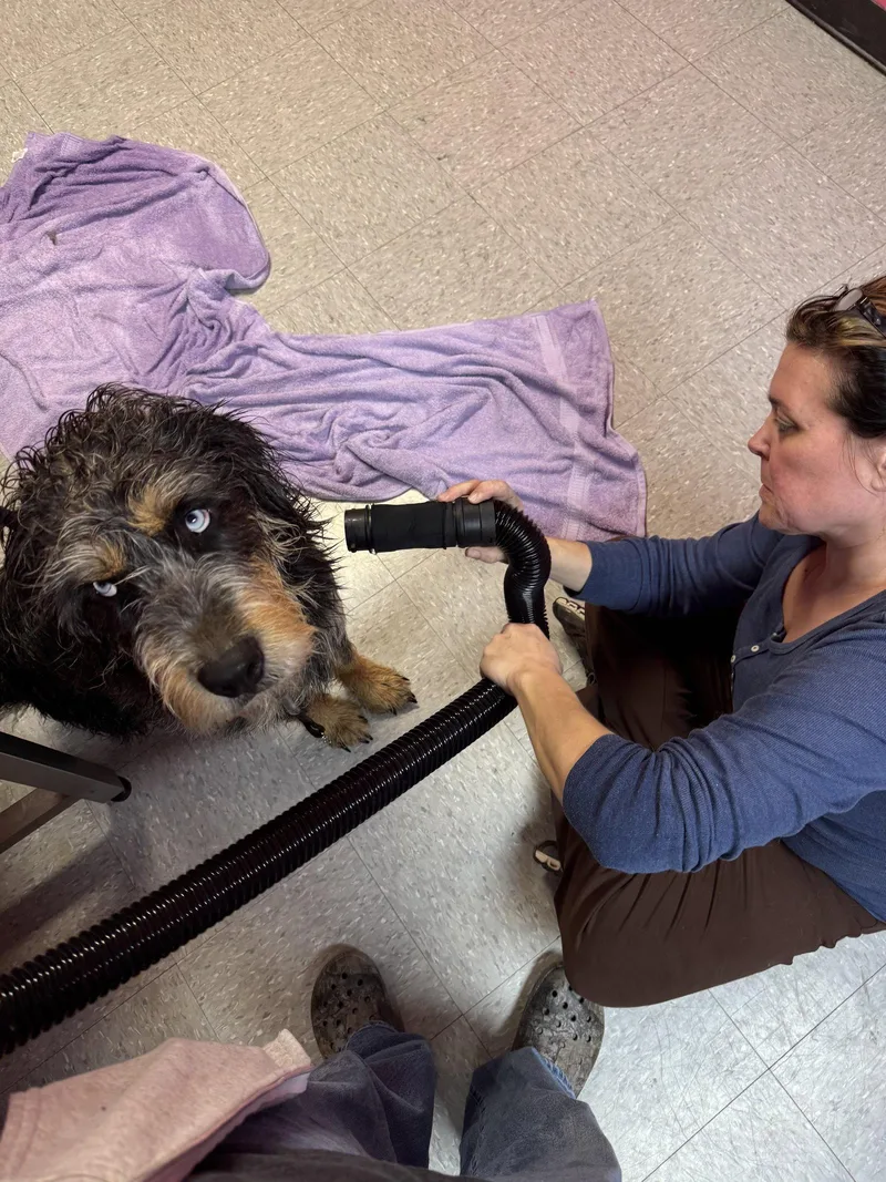 Big Bear thumbnail 2