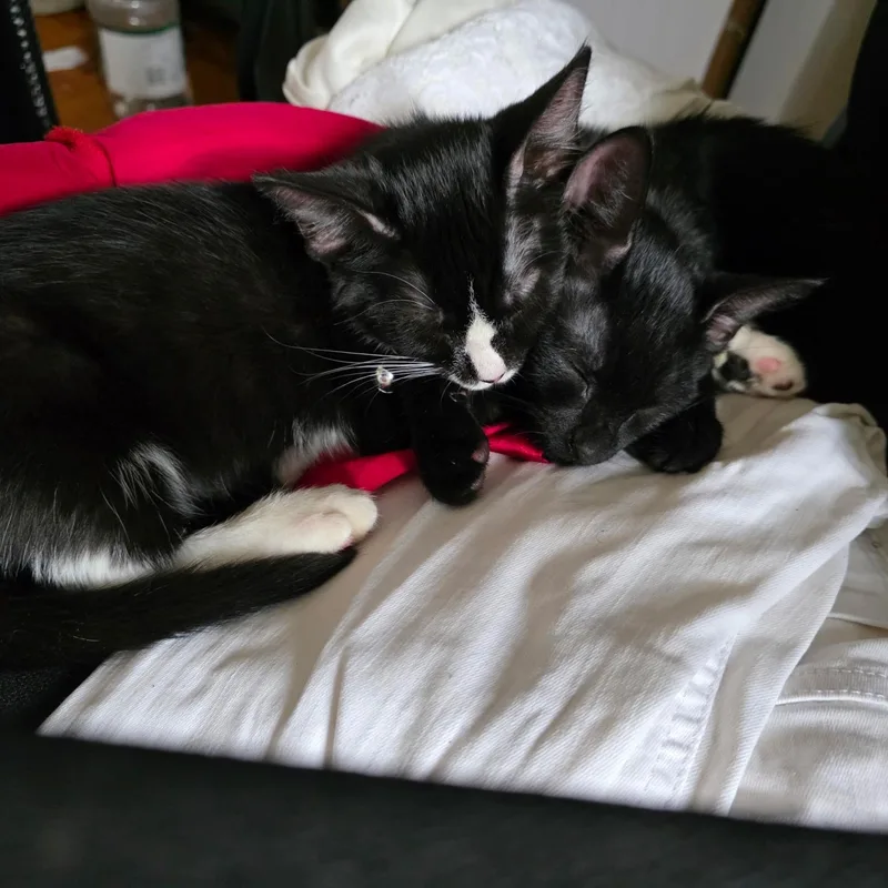 Fiona and Finn thumbnail 2