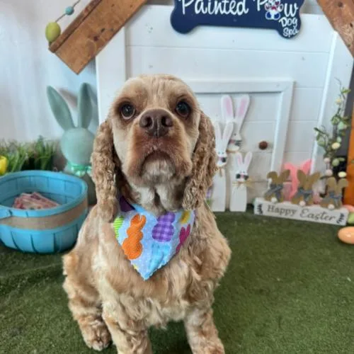 David Payne thumbnail 2