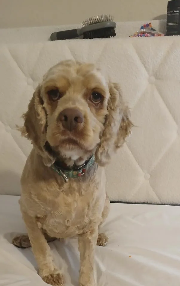 David Payne thumbnail 3