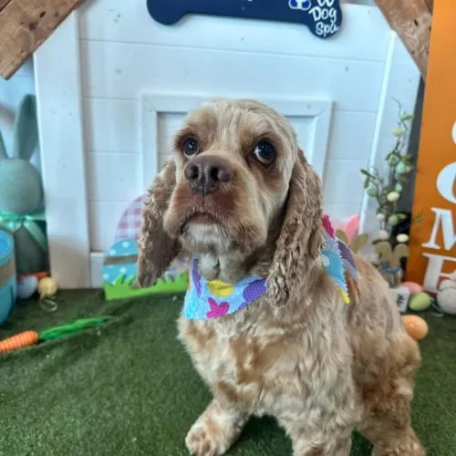 David Payne thumbnail 4