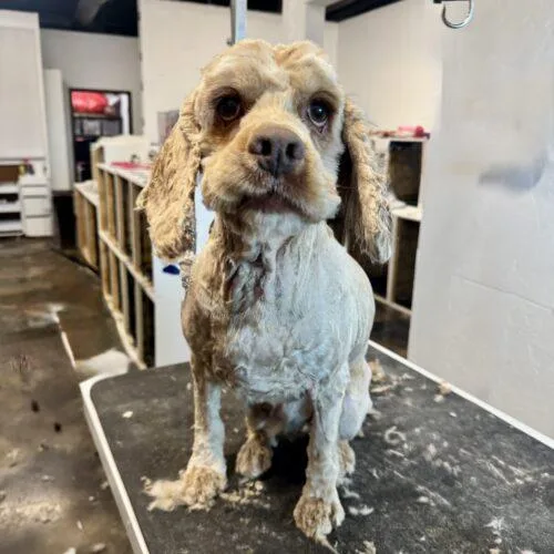 David Payne thumbnail 5