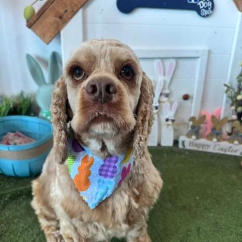 David Payne thumbnail 6