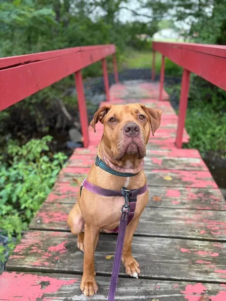 Clementine thumbnail 3