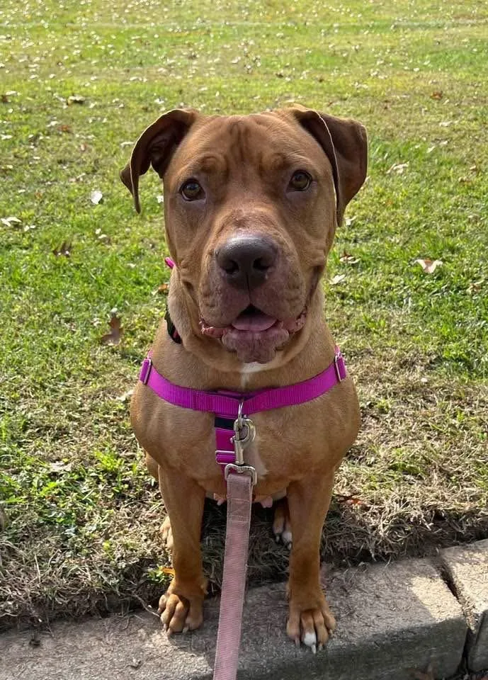 Clementine thumbnail 4