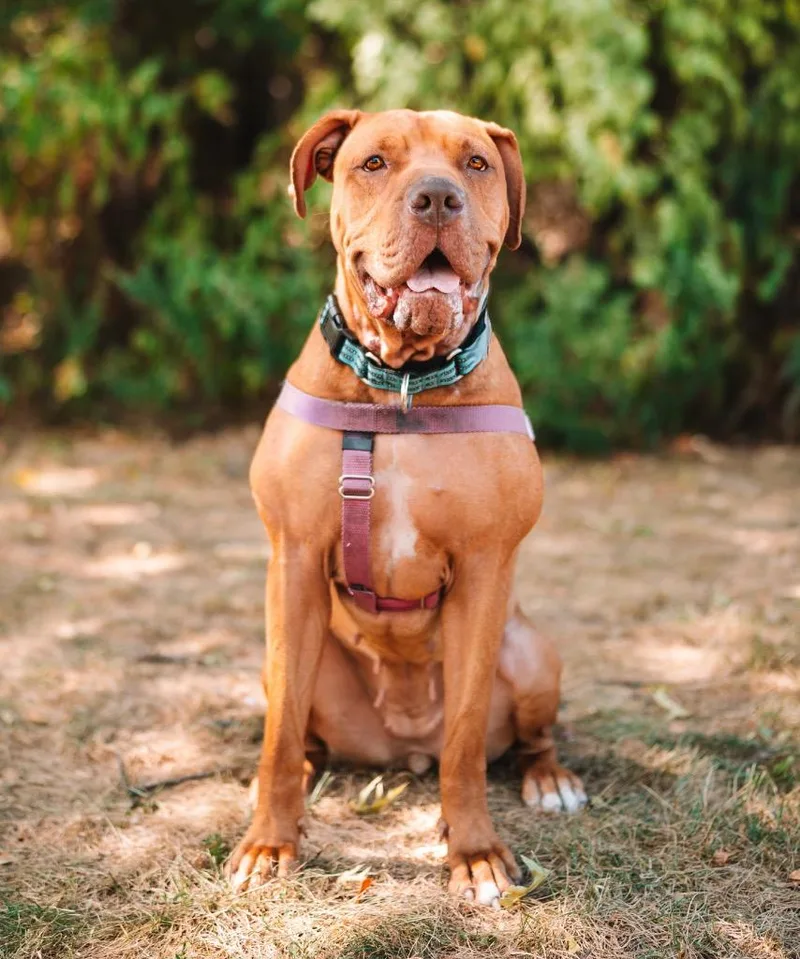 Clementine thumbnail 6