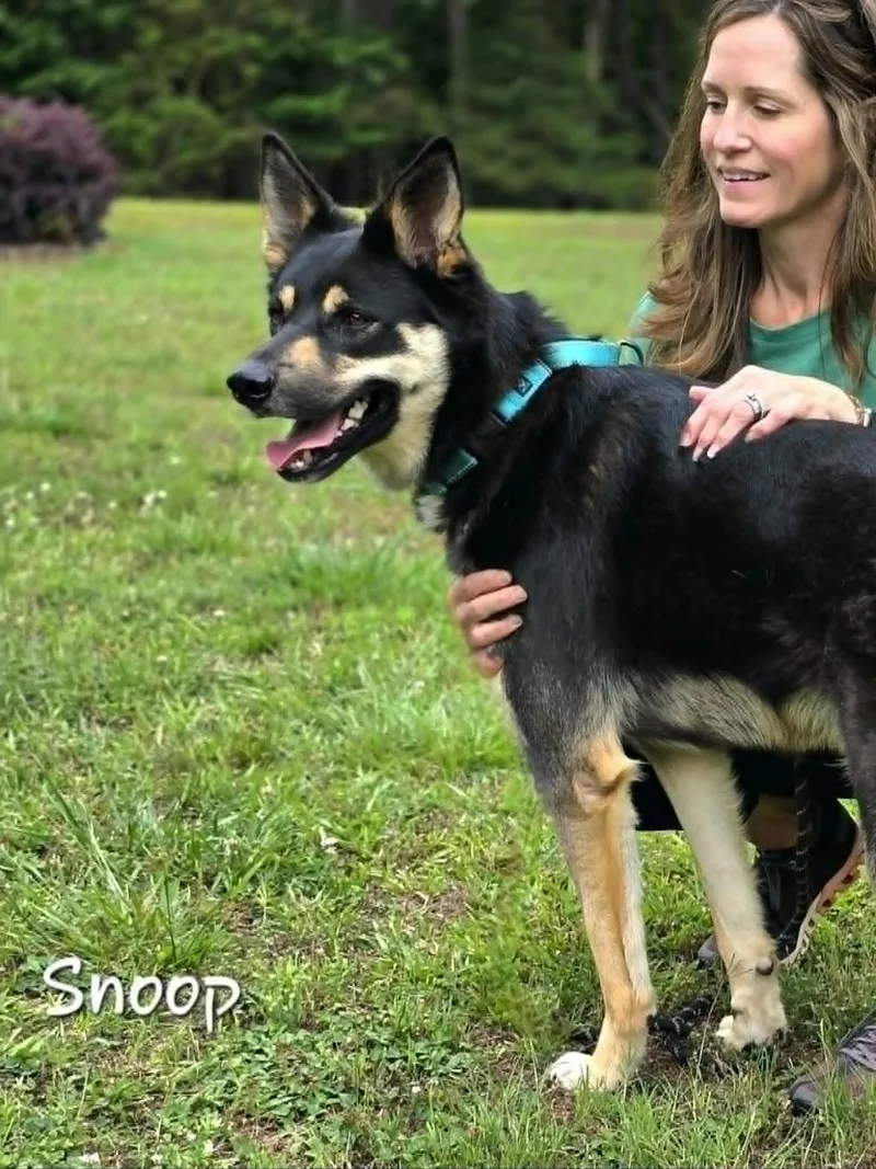 Snoop thumbnail 6
