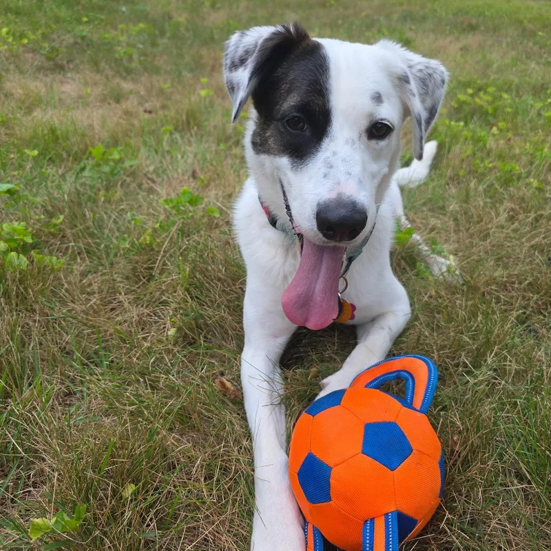 Mia