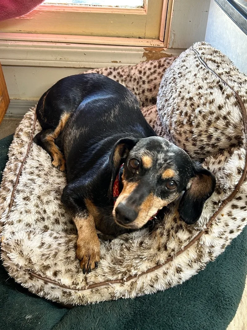 Nicholas thumbnail 2