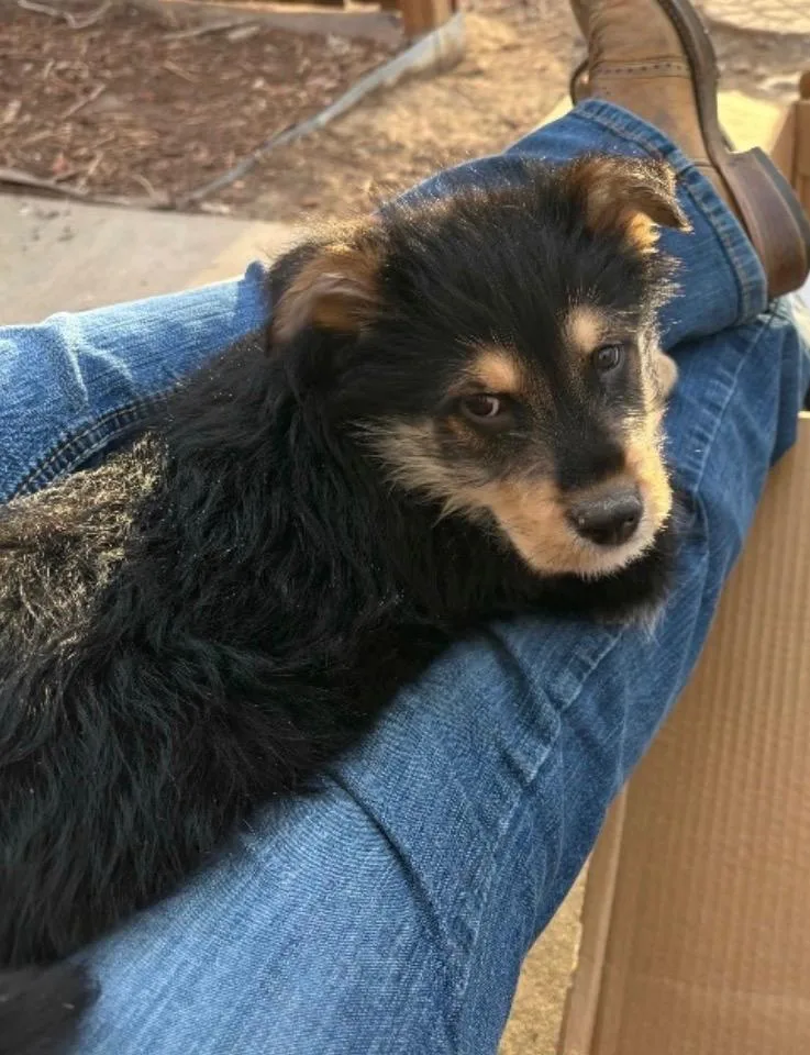 Hyatt Mireh thumbnail 2