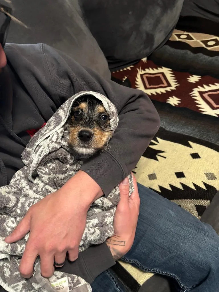 Hyatt Mireh thumbnail 3