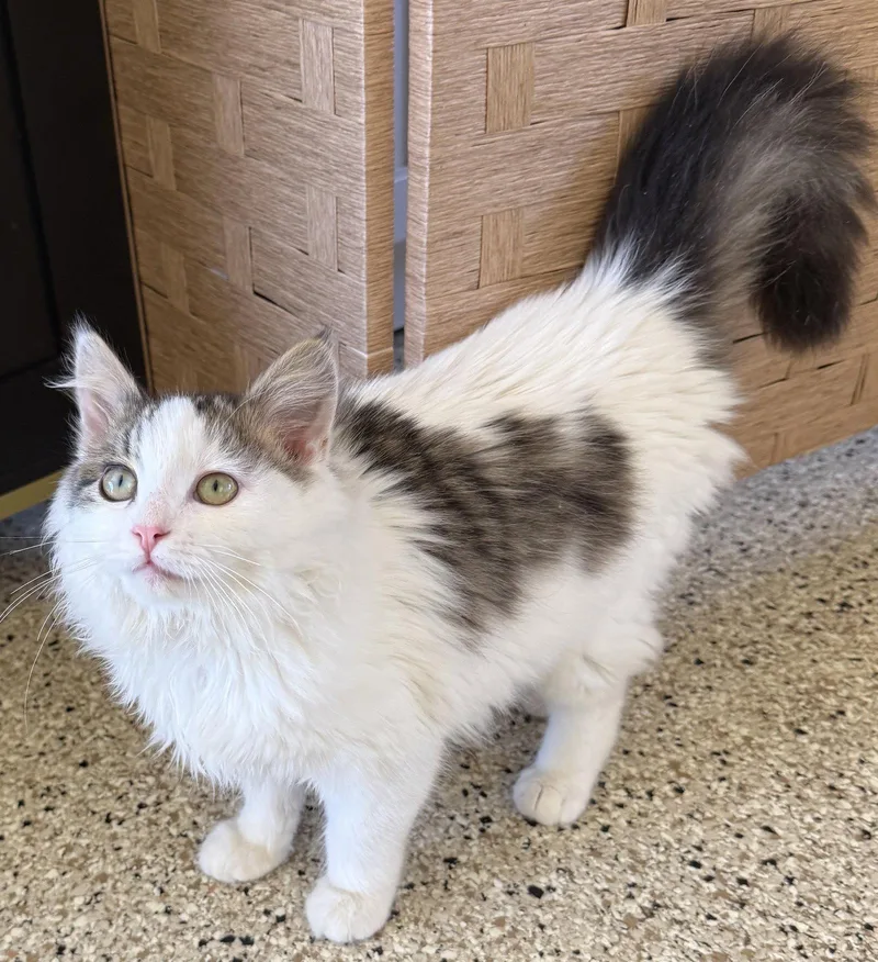 Winnie  Wonderfully Fluffy