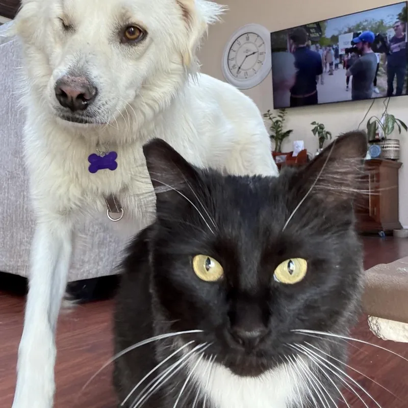 Dr. Pepper thumbnail 4